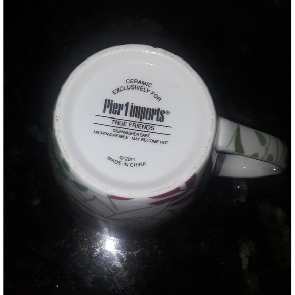Pier 1 Imports 2011 TRUE FRIENDS Floral Coffee Cup Mug Green Fushia White Multi - Picture 3 of 5